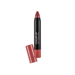 Flormar Color Up Lip Crayon 04 Lovely Pink